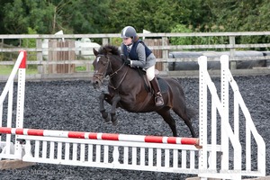 Class 4 - Fences 2'3 to 2'6